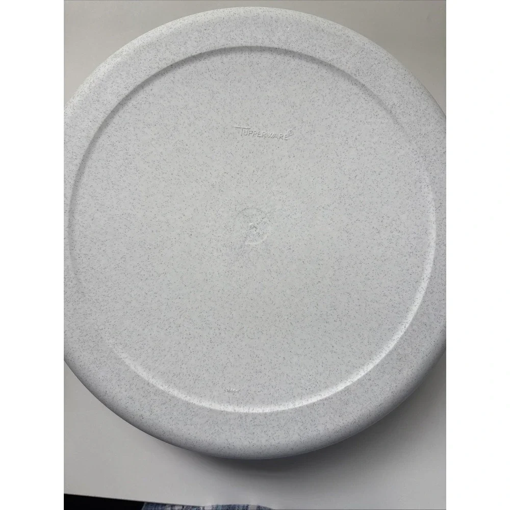 Tupperware Veggie Dip Divided Serving Tray w/ Lid 1665-1,  1666-1 NO DIP BOWL